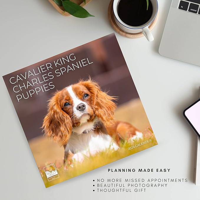 Cavalier Puppy 2026 Wall Calendar | 12" x 24" Open | Dog Photography Thick & Sturdy Paper for Organizing & Planning | Office Kitchen Decor or Gift | Pacific Waters Press (Cavalier King Charles Spaniel Puppies)