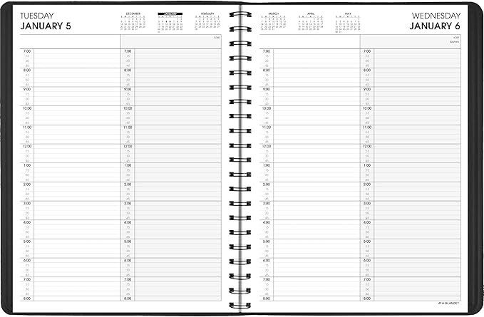 AT-A-GLANCE 2027 Appointment Book Planner, Daily Group Planner, 8" x 11", Two Person, Quarter-Hour, Black (702220527)