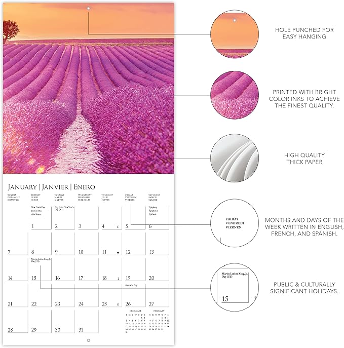 Graphique 2024 Provence Mini Wall Calendar | 7” x 7” | Thick Paper | Home & Office Organizer | Large Monthly Grid | 3 Languages & Marked Holidays | 4 Month Preview Page for 2025