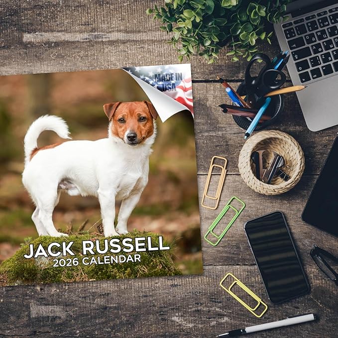 Jack Russell Calendar 2026 by MegaCalendars – Monthly Dog Breed Wall Calendar, Made in USA