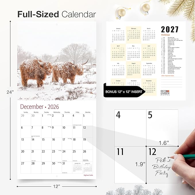 RED EMBER Select - Highland Cattle 2026 Wall Calendar 12 Month | 12" x 24" Open | Thick & Sturdy Paper | Giftable | Cow Animal Calendar 2026