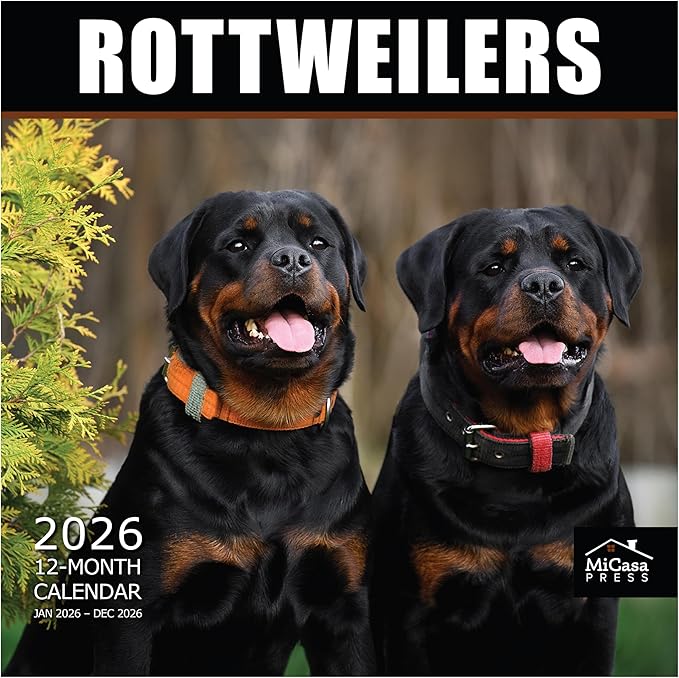 MICASA PRESS Rottweilers 2026 Wall Calendar 12 Month | 12" x 24" Open | Thick & Sturdy Paper |Giftable | Cute Puppy Dog Calendar 2026