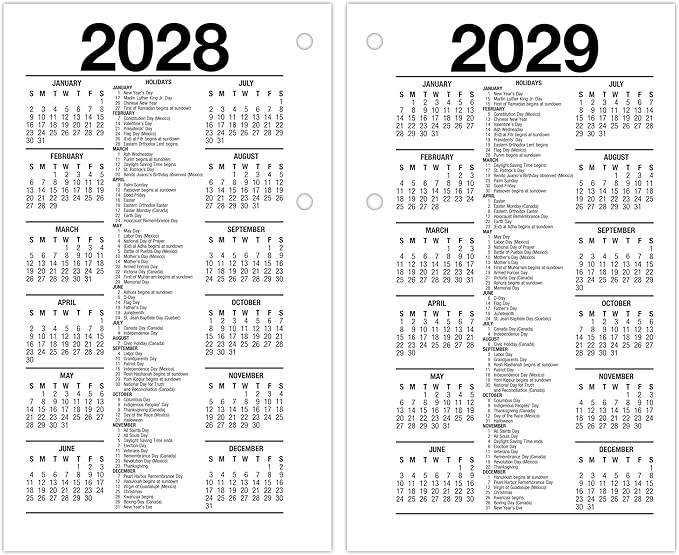 AT-A-GLANCE 2027 Desk Calendar Refill for E1700 Base, Daily Desk Pad Refill, 3.5" x 6", Standard, Loose-Leaf (E7175027)