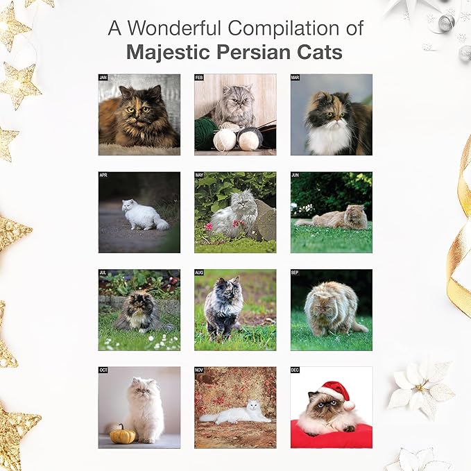 RED EMBER Persian Cats 2026 Wall Calendar 12 Month | 12" x 24" Open | Thick & Sturdy Paper | Giftable | Cute Kitten Cat Calendar 2026