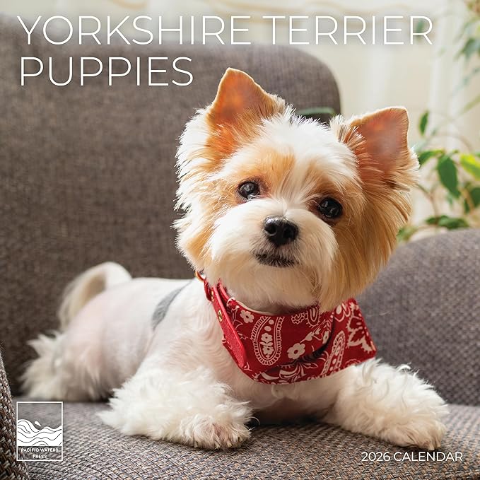Yorkshire Puppy 2026 Wall Calendar | 12" x 24" Open | Dog Calendar Photography Thick & Sturdy Paper for Planning | Office Kitchen Decor or Gift | Pacific Waters Press (Yorkshire Terrier Puppies)