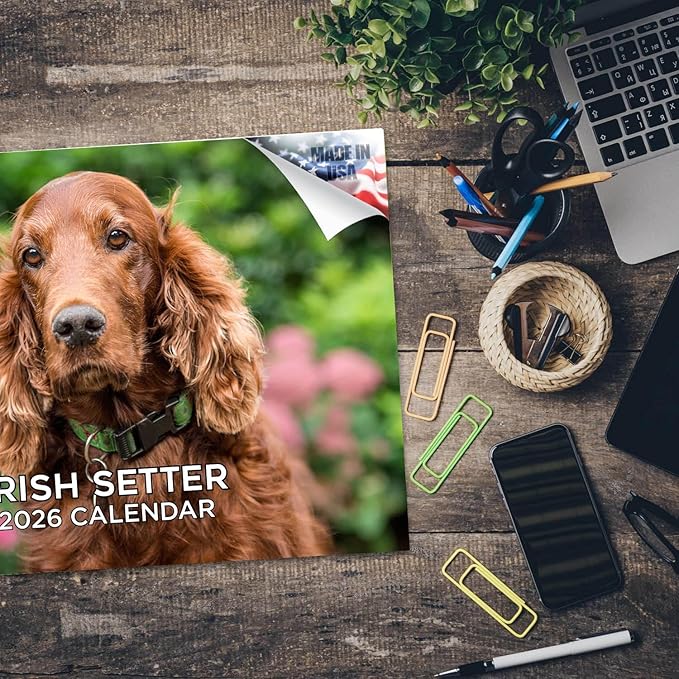 2025 2026 Irish Setter Calendar - Dog Breed Monthly Wall Calendar - 12" x 18" Open - Thick No-Bleed Paper - Giftable - Academic Teacher's Planner Calendar Organizing & Planning - Made in USA