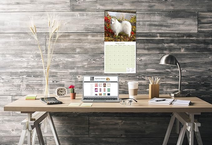 American Eskimo Calendar 2026 – 16-Month Dog Breed Wall Calendar by MegaCalendars – Large Daily Blocks, Thick No-Bleed Paper, Made in USA
