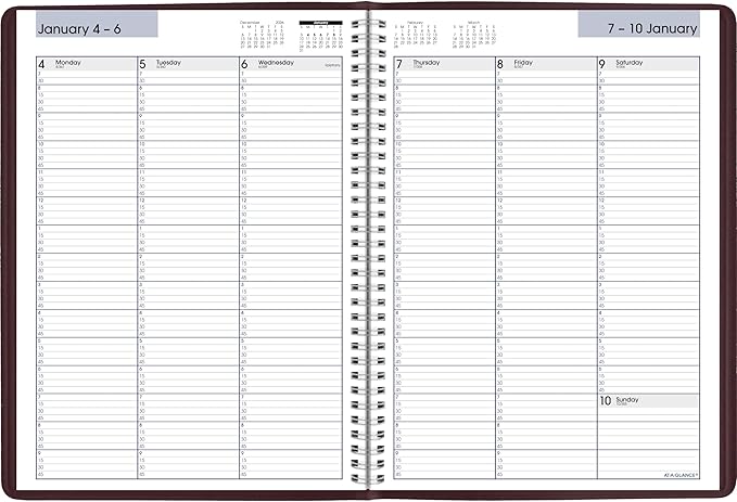 AT-A-GLANCE 2027 Appointment Book Planner, Weekly, 8" x 11", Quarter-Hourly, DayMinder, Burgundy (G5201427)