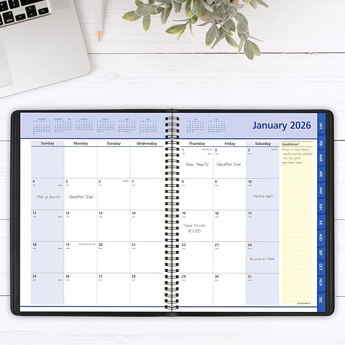 AT-A-GLANCE 2026 Appointment Book Planner, Monthly, 8-1/4" x 11", Large, QuickNotes, Black (76060526)