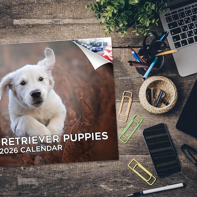 2025 2026 Golden Retriever Pups Calendar - Dog Breed Monthly Wall Calendar - 12" x 18" Open - Thick No-Bleed Paper - Giftable - Academic Teacher's Planner Calendar Organizing & Planning - Made in USA