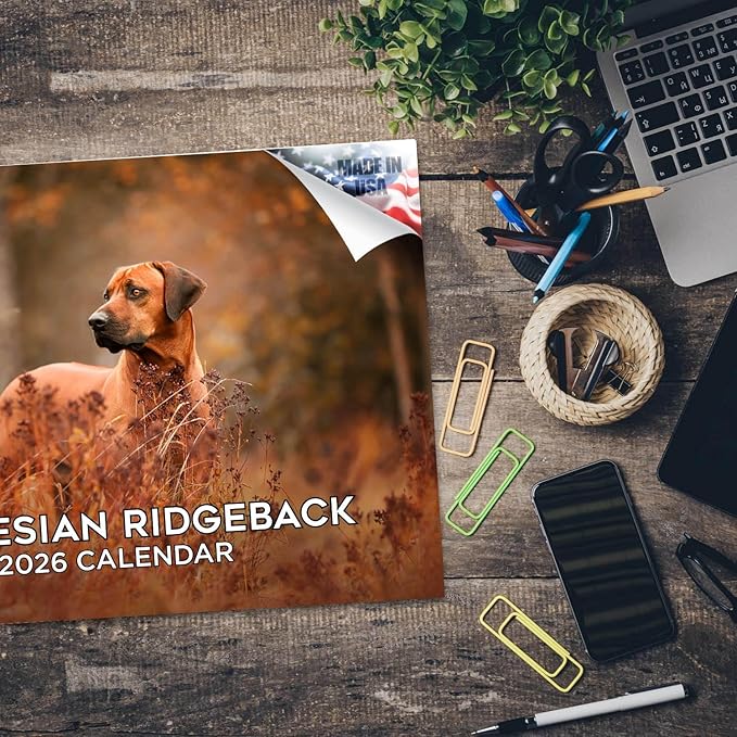 2025 2026 Rhodesian Ridgeback Calendar - Dog Breed Monthly Wall Calendar - 12" x 18" Open - Thick No-Bleed Paper - Giftable - Academic Teacher's Planner Calendar Organizing & Planning