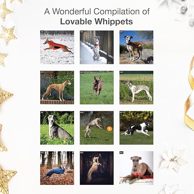 RED EMBER Whippets 2026 Wall Calendar 12 Month | 12" x 24" Open | Thick & Sturdy Paper | Giftable | Cute Puppy Dog Calendar 2026