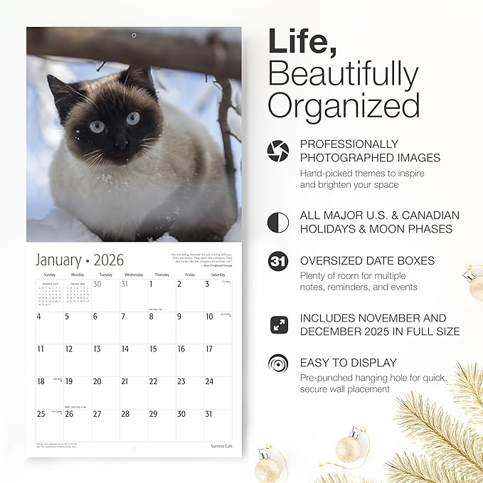 RED EMBER Siamese Cats 2026 Wall Calendar 12 Month | 12" x 24" Open | Thick & Sturdy Paper | Giftable | Cute Kitten Cat Calendar 2026