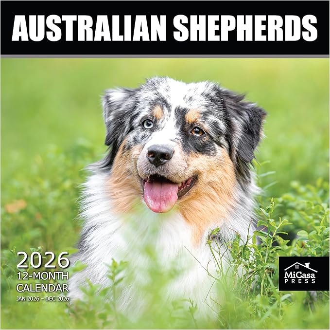 MICASA PRESS Australian Shepherds Aussies 2026 Wall Calendar 12 Month | 12" x 24" Open | Thick & Sturdy Paper | Giftable | Cute Puppy Dog Calendar 2026