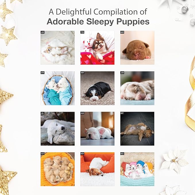 RED EMBER Pooped Puppies 2026 Wall Calendar 12 Month | 12" x 24" Open | Thick & Sturdy Paper | Giftable | Cute Funny Puppy Dog Calendar 2026