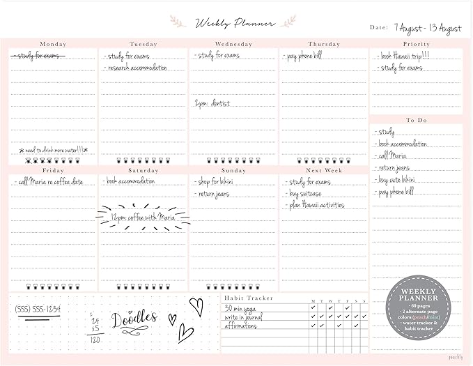 Peachly Desktop Weekly Planner Notepad | 60 Undated Tear-Off Pages | Schedule Daily To-Do Lists | Increase Your Productivity In Less Than 5 Minutes A Week | Achieve Your Goals | Peach and Mint Fern