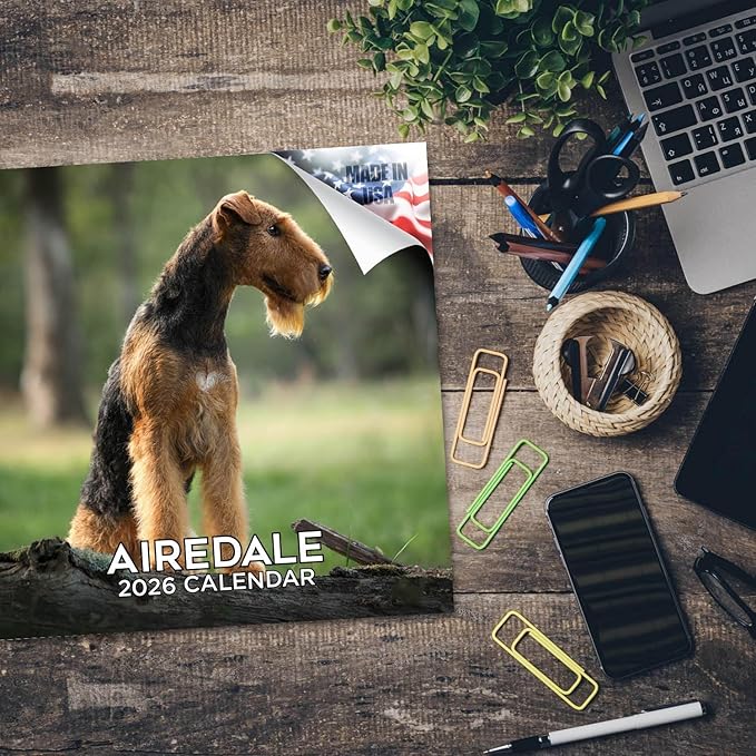 Airedale Calendar 2026 by MegaCalendars – Monthly Dog Breed Wall Calendar, Made in USA