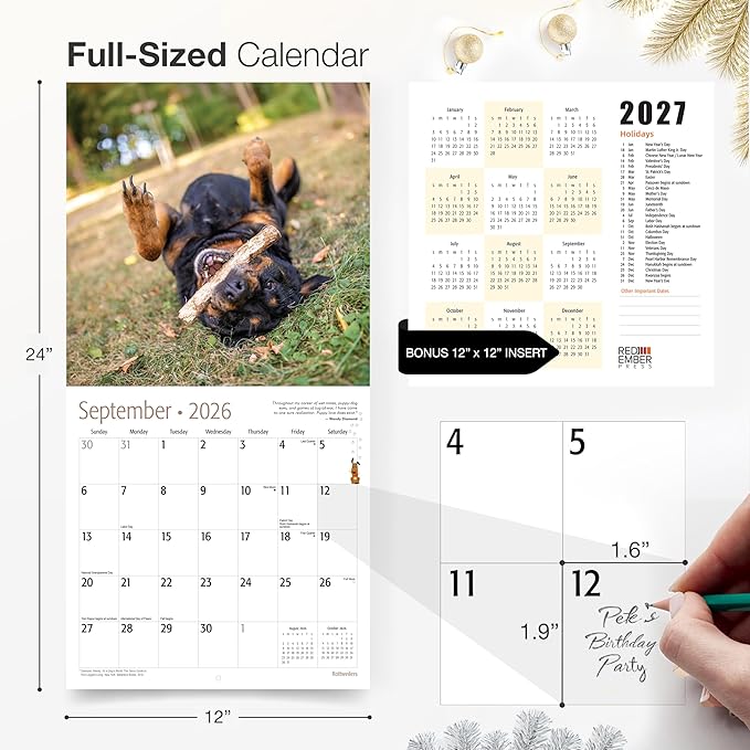 RED EMBER Select - Rottweilers 2026 Wall Calendar 12 Month | 12" x 24" Open | Thick & Sturdy Paper | Giftable | Cute Puppy Dog Calendar 2026