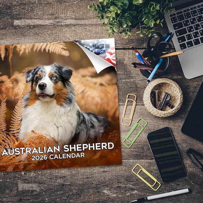 Australian Shepherd Calendar 2026 – 16-Month Dog Breed Wall Calendar by MegaCalendars – Large Daily Blocks, Thick No-Bleed Paper, Made in USA