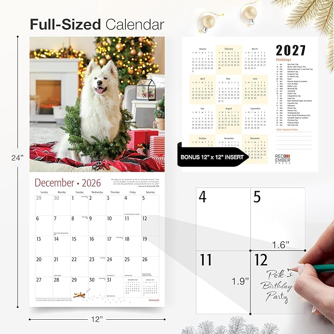 RED EMBER Samoyeds 2026 Wall Calendar 12 Month | 12" x 24" Open | Thick & Sturdy Paper | Giftable | Cute Puppy Dog Calendar 2026