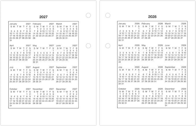 AT-A-GLANCE 2026 Desk Calendar Refill, Daily, 3" x 3-3/4", Mini, Loose-Leaf (E9195026)