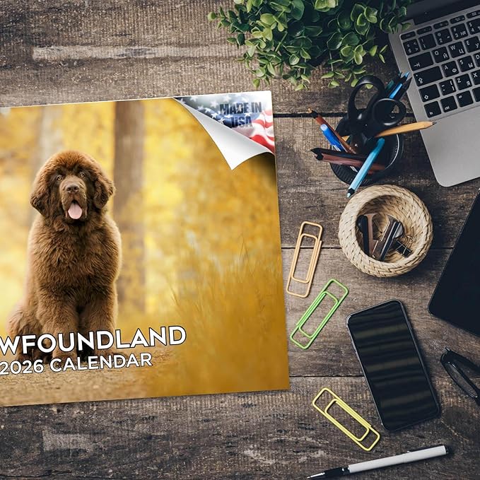 2025 2026 Newfoundland Calendar - Dog Breed Monthly Wall Calendar - 12" x 18" Open - Thick No-Bleed Paper - Giftable - Academic Teacher's Planner Calendar Organizing & Planning - Made in USA