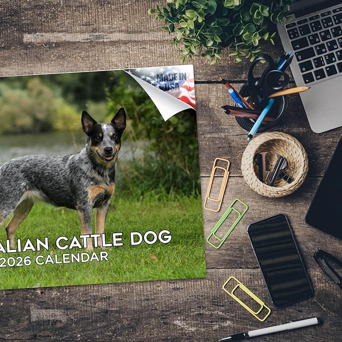 2025 2026 Australian Cattle Dog Calendar - Dog Breed Monthly Wall Calendar - 12" x 18" Open - Thick No-Bleed Paper - Giftable - Academic Teacher's Planner Calendar Organizing & Planning - Made in USA