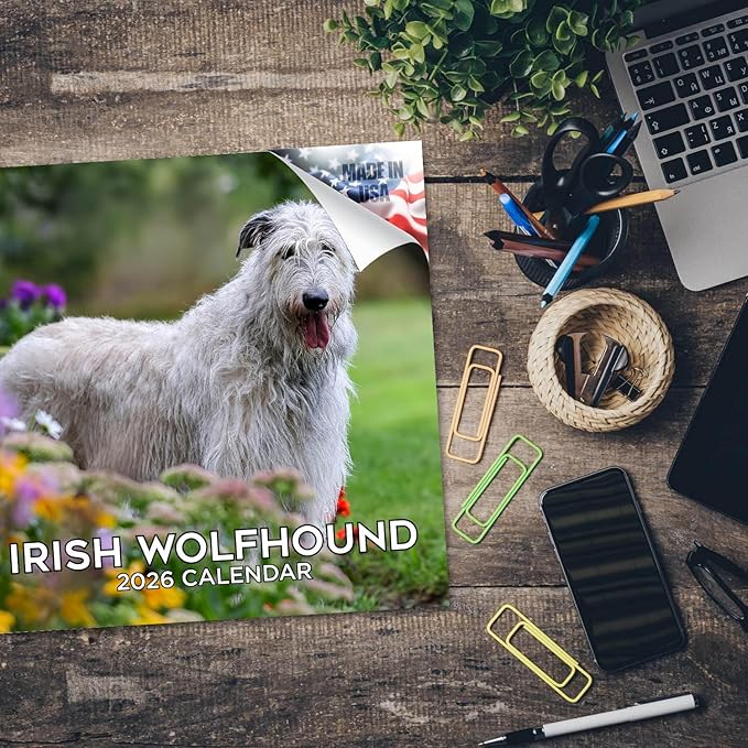 Irish Wolfhound Calendar 2026 by MegaCalendars – Monthly Dog Breed Wall Calendar, Made in USA