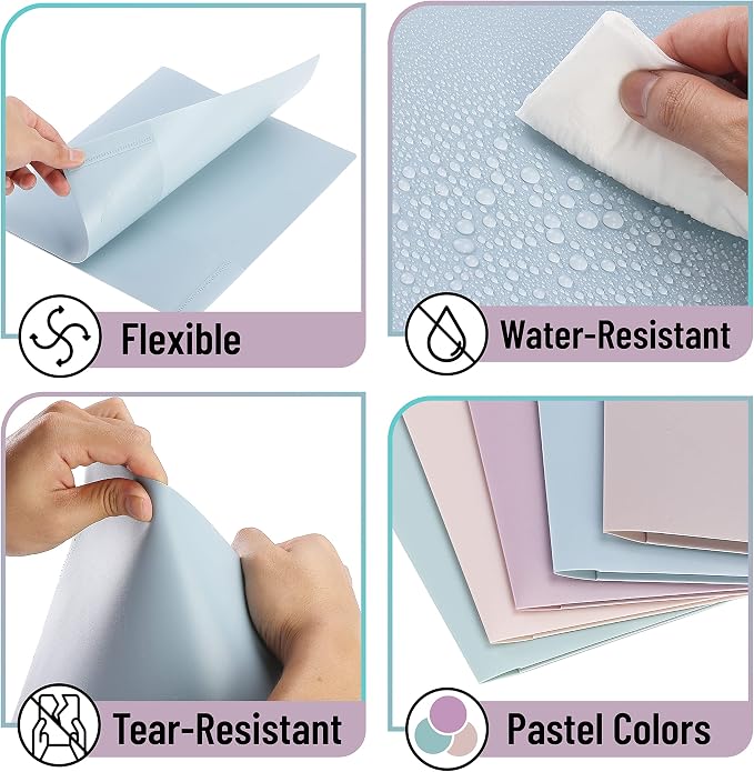 Mr. Pen- Plastic Folders with Pockets, 5 pcs, Aesthetic File Folder with Business Card Slot, 2-Pocket Folder, Back to School, Office, Filing Supplies