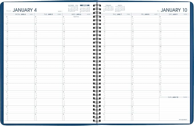 AT-A-GLANCE 2027 Appointment Book Planner, Weekly, 8.25" x 11", Blue (709402027)