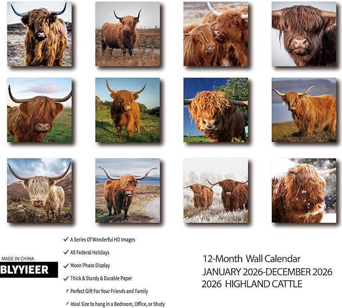 2026 Wall Calendar,Calendar 2026,Highland Cattle Monthly Wall Calendar, 12" x 24" Open,Family Planner Calendar, Home & Office Organizer,Hangable