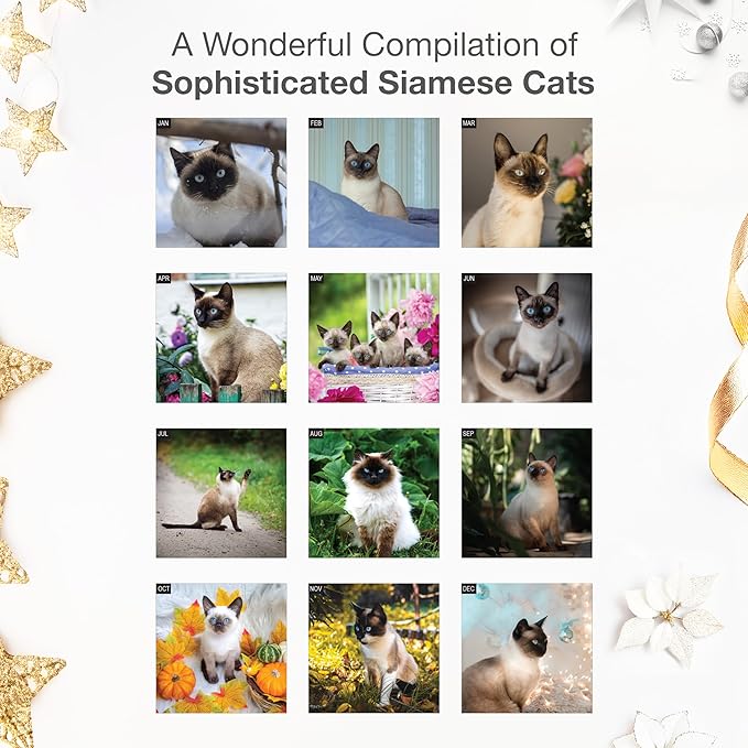 RED EMBER Siamese Cats 2026 Wall Calendar 12 Month | 12" x 24" Open | Thick & Sturdy Paper | Giftable | Cute Kitten Cat Calendar 2026