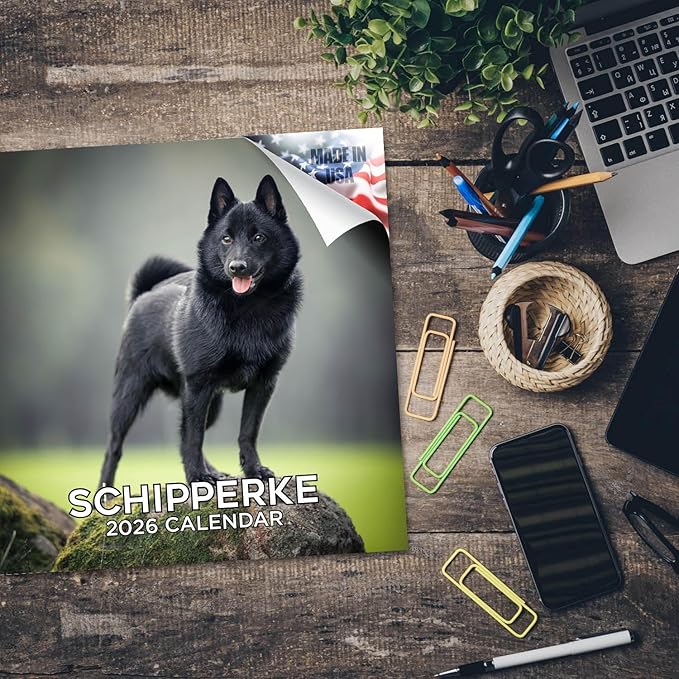Schipperke Calendar 2026 by MegaCalendars – Monthly Dog Breed Wall Calendar, Made in USA