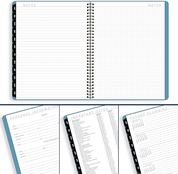 AT-A-GLANCE 2026 Planner, Weekly & Monthly, 8.25" x 11", Large, Contemporary Lite, Sky Blue (7095XL3826)