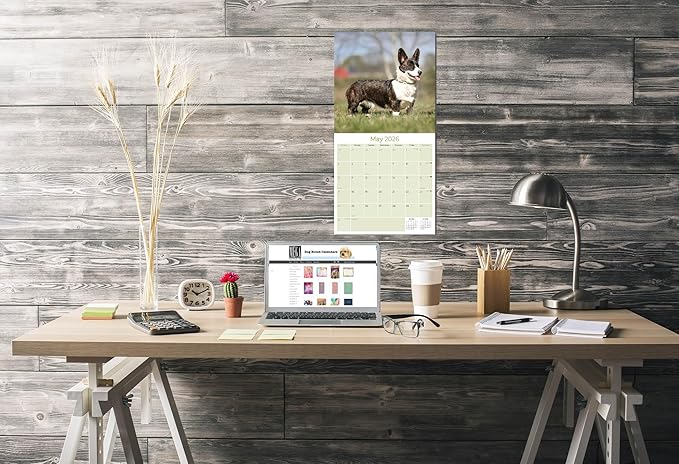 Corgi Calendar 2026 by MegaCalendars – Monthly Dog Breed Wall Calendar, Made in USA