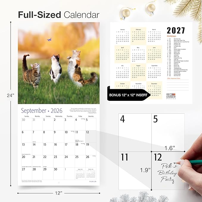 RED EMBER A Cat's Life 2026 Wall Calendar 12 Month | 12" x 24" Open | Thick & Sturdy Paper | Giftable | Cute Kitten Cat Calendar 2026