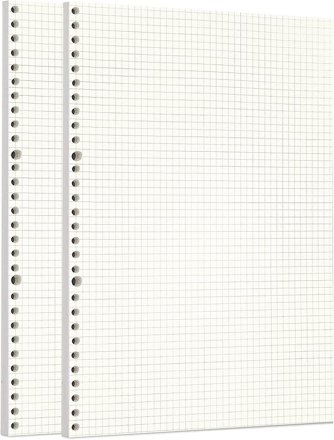 Zelten 2 Pack A4 90 Sheets/180 Pages Squared Loose Leaf Punched Paper Refills Paper for 30 Hole Binder Personal Organizer Diary Notebook Refillable Planner