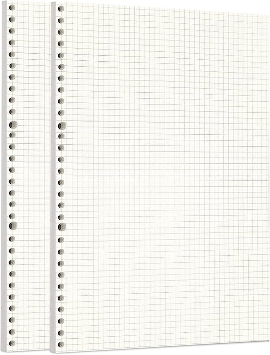 Zelten 2 Pack A4 90 Sheets/180 Pages Squared Loose Leaf Punched Paper Refills Paper for 30 Hole Binder Personal Organizer Diary Notebook Refillable Planner