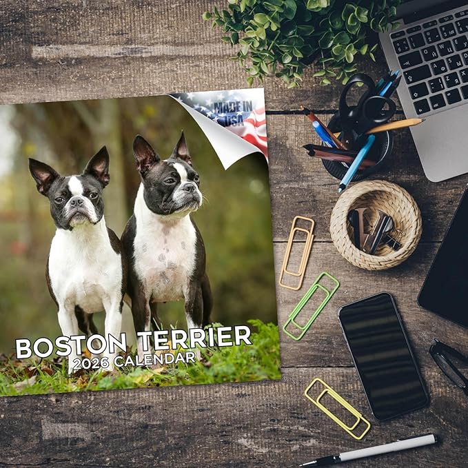 2025 2026 Boston Terrier Calendar - Dog Breed Monthly Wall Calendar - 12" x 24" Open - Thick No-Bleed Paper - Giftable - Academic Teacher's Planner Calendar Organizing & Planning - Made in USA