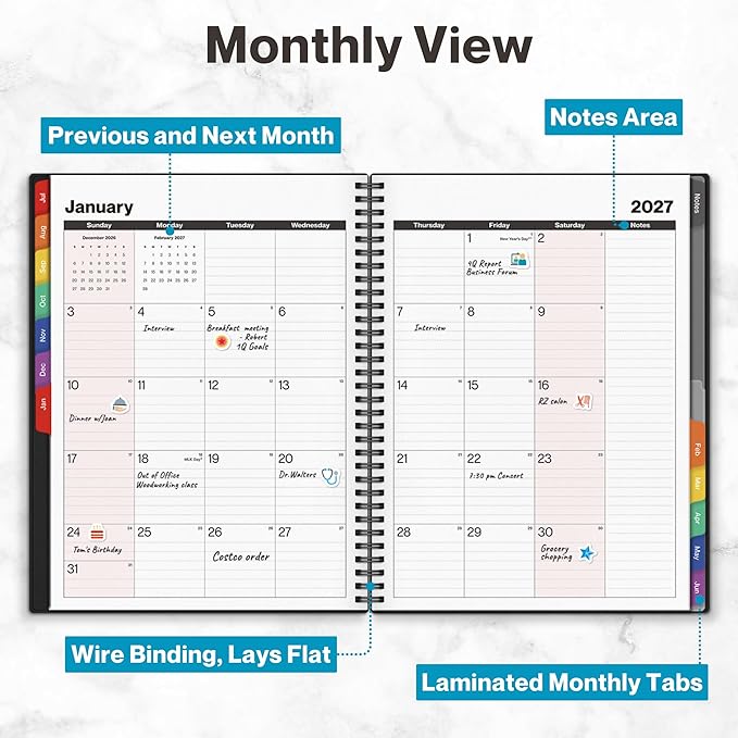 Dunwell 2026-2027 Appointment Book 8.5 x 11, July 2026 to June 2027, 15-Minute Hourly Schedule Planner with Colorful Tabs, Daily Professional Agenda