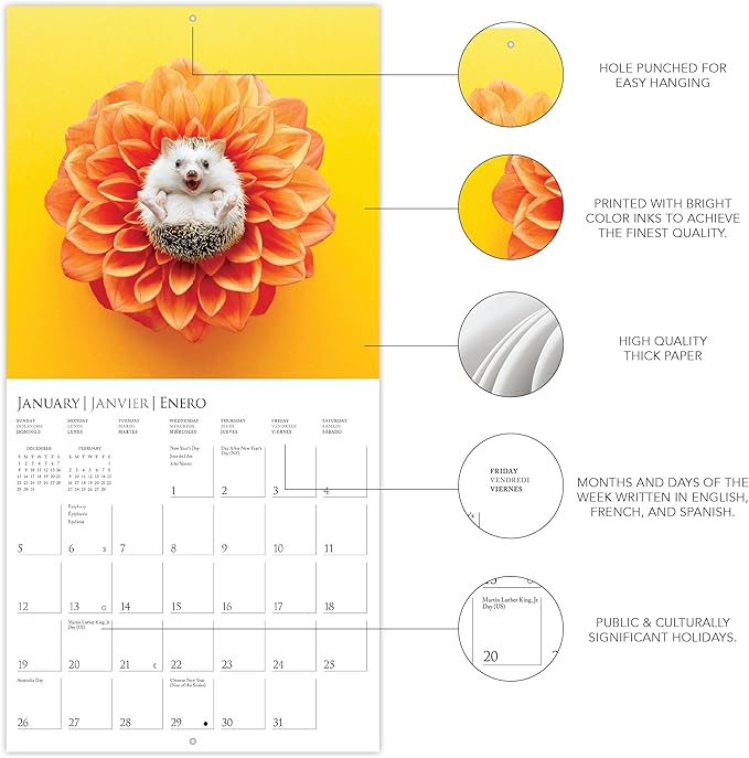 Graphique 2025 Happiest Hedgehogs Mini Wall Calendar | 7” x 7” | Thick Paper | Home & Office Organizer | Large Monthly Grid | 3 Languages & Marked Holidays | 4 Month Preview Page for 2026