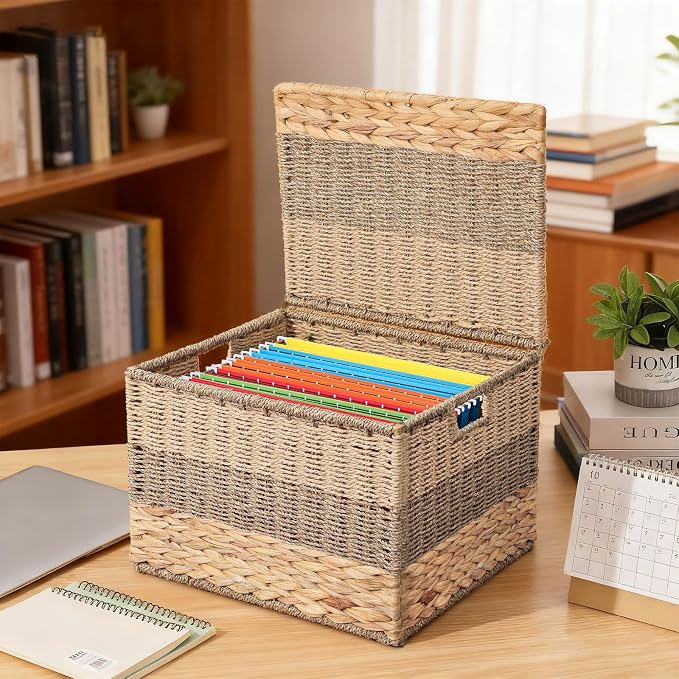 Decorative File Box 14 x 12 x 11 in Wicker Seagrass File Basket Organizer for Letter Size Hand Woven Hanging Filing Cabinet with Lid for Document Folder Home Office Decor, Water Hyacinth, Tricolor