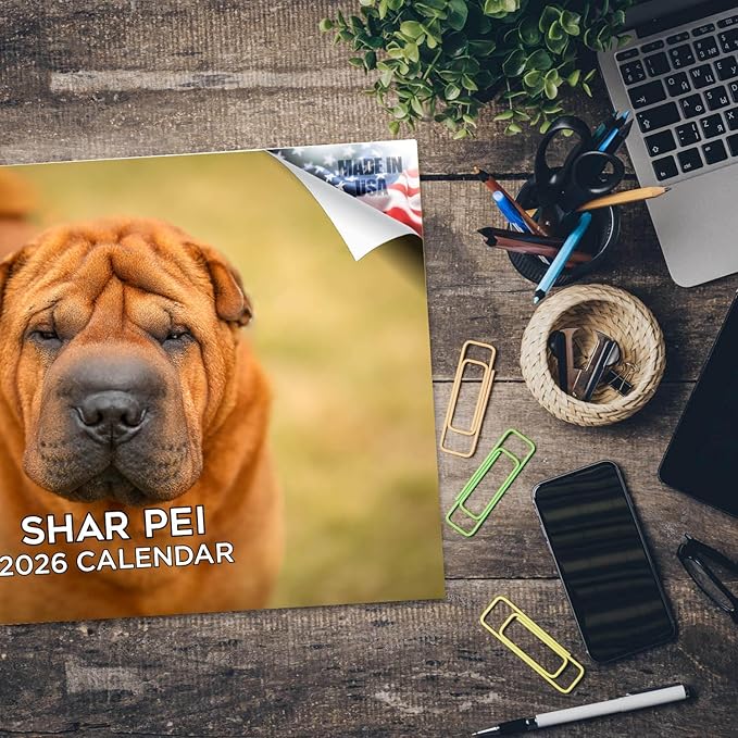 2025 2026 Shar Pei Calendar - Dog Breed Monthly Wall Planner - 12" x 18" Open - Thick No-Bleed Paper - Giftable - Academic Teacher's Organizing & Planning