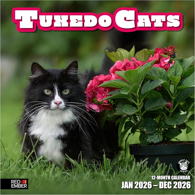 RED EMBER Tuxedo Cats 2026 Wall Calendar 12 Month | 12" x 24" Open | Thick & Sturdy Paper | Giftable | Cute Kitten Cat Calendar 2026
