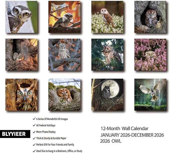 2026 Wall Calendar,Owl Calendar 2026,OWL Monthly Wall Calendar, 12" x 24" Open,Family Planner Calendar, Home & Office Organizer,Hangable