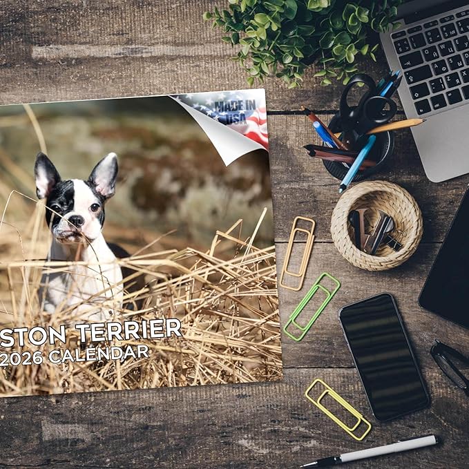 2025 2026 Boston Terrier Calendar - Dog Breed Monthly Wall Calendar - 12" x 18" Open - Thick No-Bleed Paper - Giftable - Academic Teacher's Planner Calendar Organizing & Planning - Made in USA