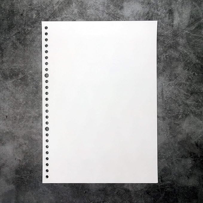 Zelten Refills/Loose Leaves for B5 Cover Ring Binder/Personal Organizer/Planner(B5 26 Holes, Blank 120 Sheets)