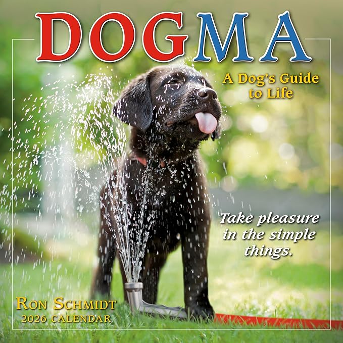 Dogma 2026 Mini Wall Calendar, Funny Dog Photography: A Dog’s Guide to Life, 7" x 7"