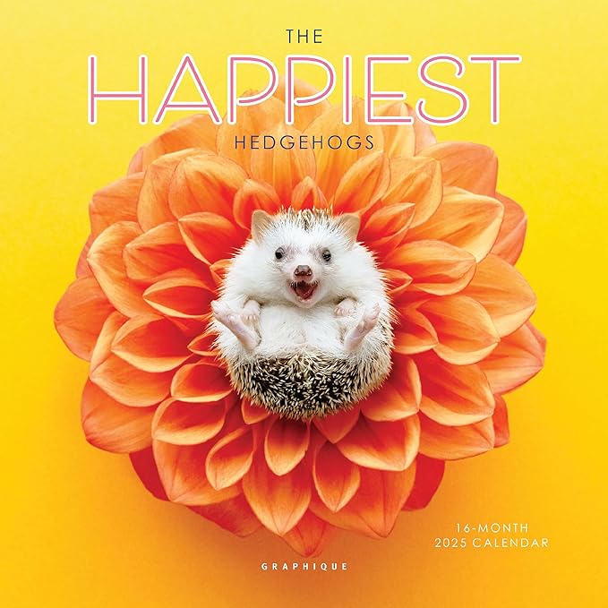 Graphique 2025 Happiest Hedgehogs Mini Wall Calendar | 7” x 7” | Thick Paper | Home & Office Organizer | Large Monthly Grid | 3 Languages & Marked Holidays | 4 Month Preview Page for 2026