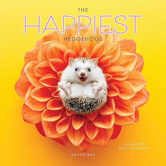 Graphique 2025 Happiest Hedgehogs Mini Wall Calendar | 7” x 7” | Thick Paper | Home & Office Organizer | Large Monthly Grid | 3 Languages & Marked Holidays | 4 Month Preview Page for 2026